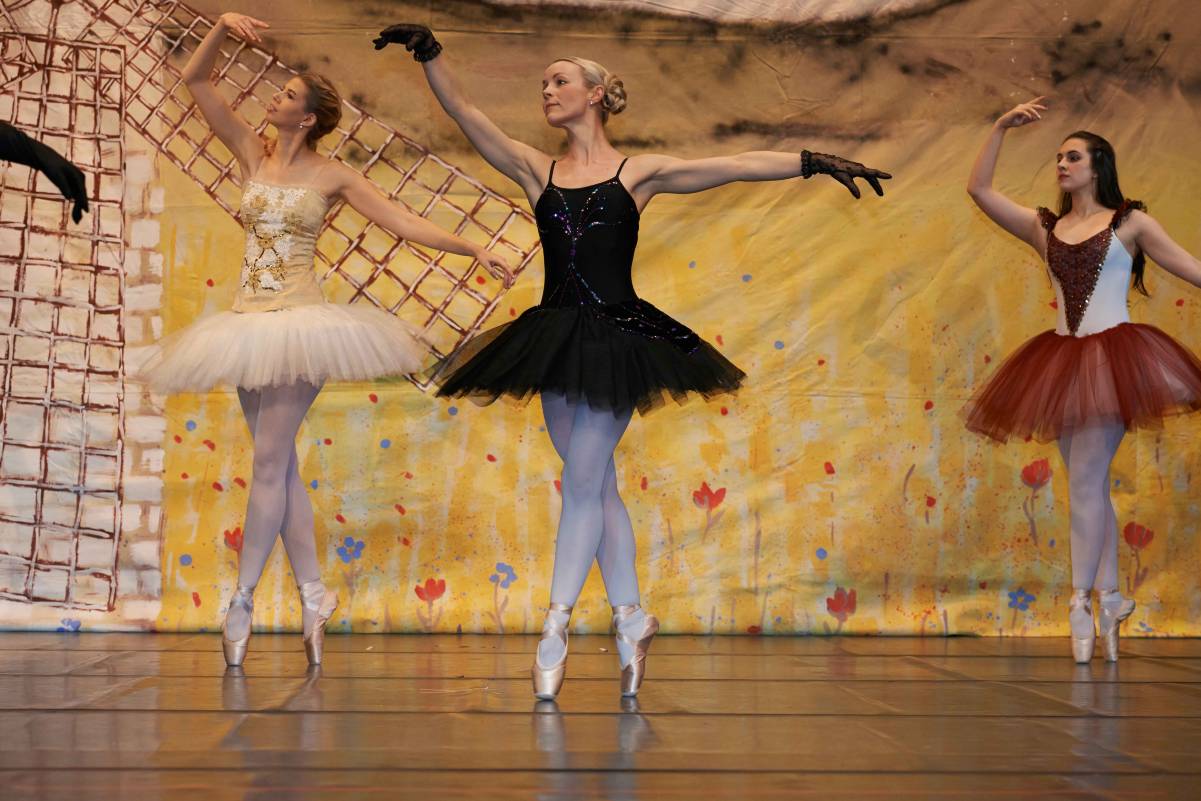 ballett-bilder-2014-178